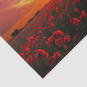 Schitterende zonsondergang op papaver tissuepapier (Detail)