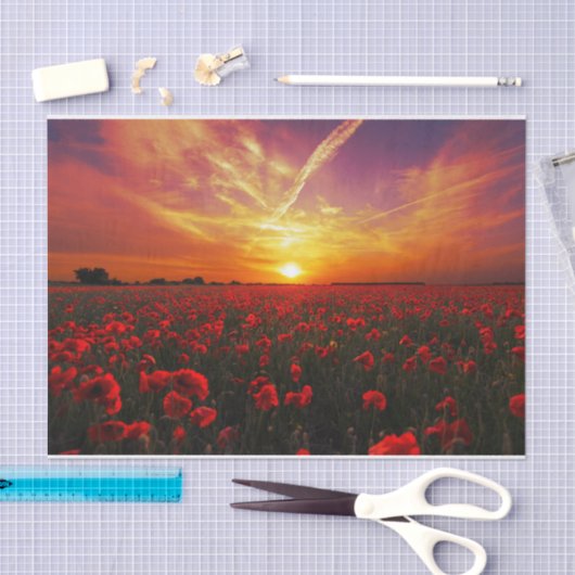 Schitterende zonsondergang op papaver tissuepapier (Craft)