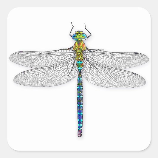 Schitterige Dragonfly Vierkante Sticker (Voorkant)