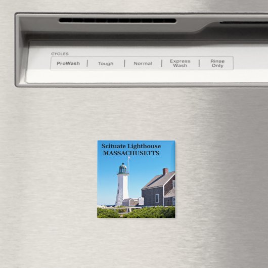 Schituingvuurtoren, Massachusetts Magnet (Insitu (Vaatwasser))