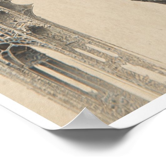 SCHIZM POSTER (Hoek)