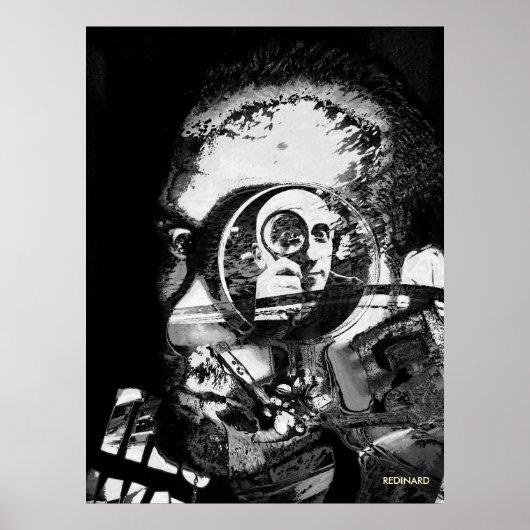 schizofrenie terminalfase poster (Voorkant)