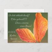 Schlecht drauf? Gestresst! Machs wie ein Koala! Briefkaart (Voorkant / Achterkant)