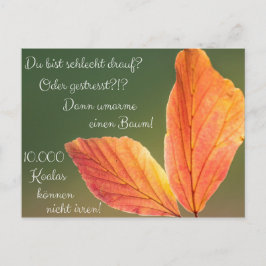 Schlecht drauf? Gestresst! Machs wie ein Koala! Briefkaart