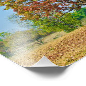 Schleichera oleosa/Ceylon oak/kusuunboom Foto Afdruk (Hoek)