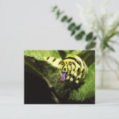 Schlobber Briefkaart (Staand voorkant)