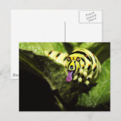 Schlobber Briefkaart (Voorkant / Achterkant)