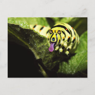 Schlobber Briefkaart