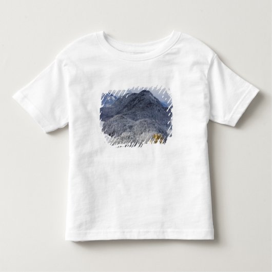 Schloss Hohenschwangau Kinder Shirts (Voorkant)