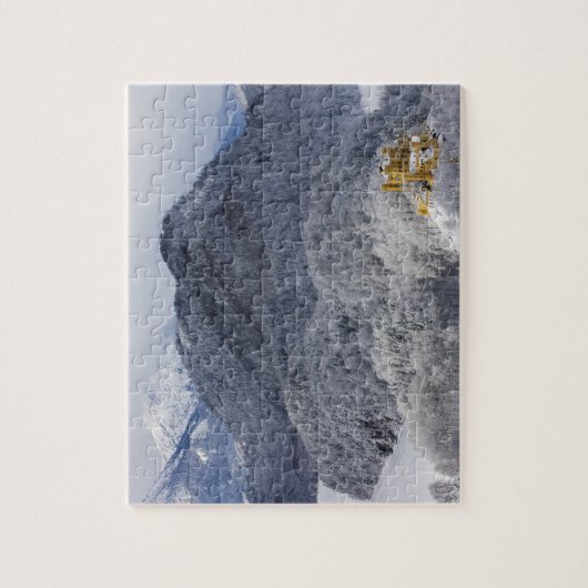 Schloss Hohenschwangau Legpuzzel (Verticaal)