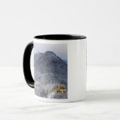 Schloss Hohenschwangau Mok (Voorkant links)