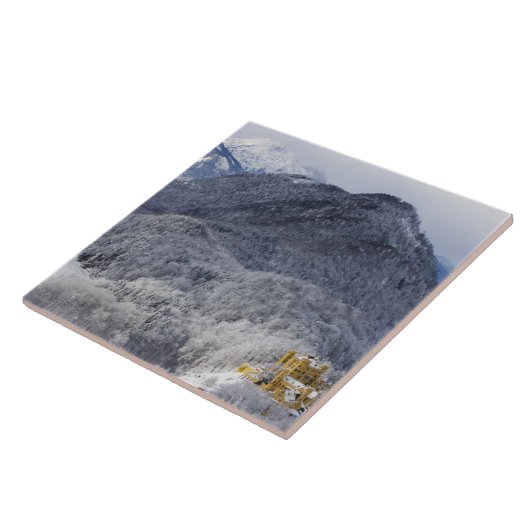 Schloss Hohenschwangau Tegeltje (Zijkant)