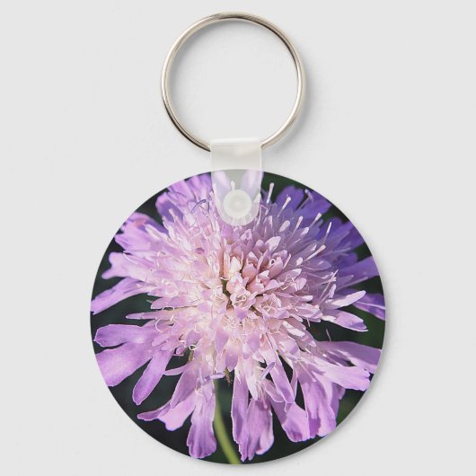 Schlüsselanhänger lila Scabiosablüte Sleutelhanger (Voorkant)