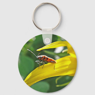 Schlüsselanhänger roter Punktekäfer Sleutelhanger