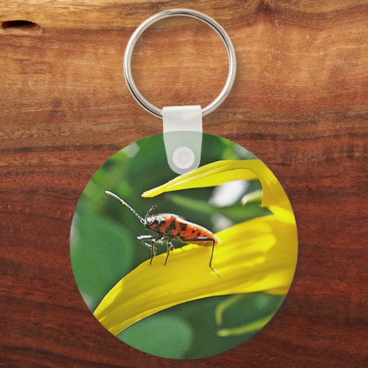 Schlüsselanhänger roter Punktekäfer Sleutelhanger (Voorkant)