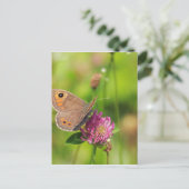 Schmetterling Briefkaart (Staand voorkant)