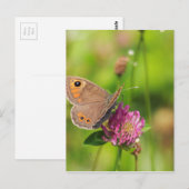 Schmetterling Briefkaart (Voorkant / Achterkant)