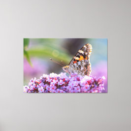 Schmetterling zum Träumen und Entspannen.. Canvas Afdruk