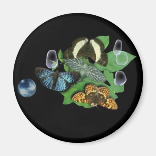 Schmetterlinge Magneet (Voorkant)