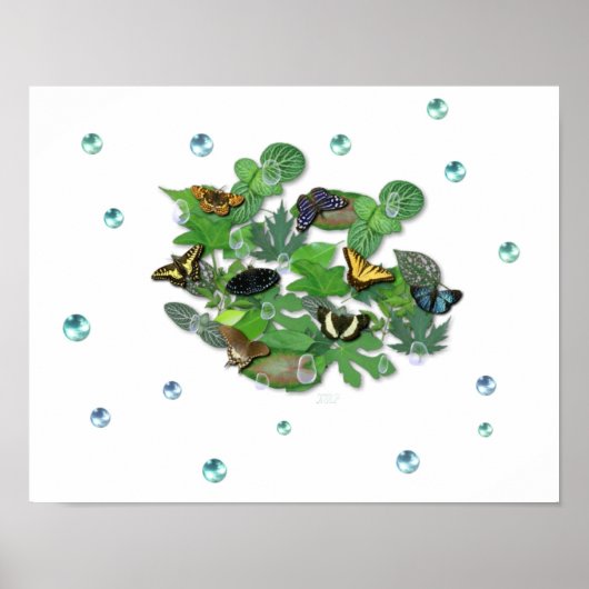Schmetterlinge mit Blätter, Regentropfen, Perlen Poster (Voorkant)