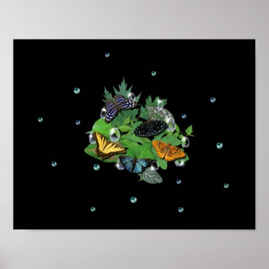 Schmetterlinge mit Blätter, Regentropfen, Perlen Poster (Voorkant)