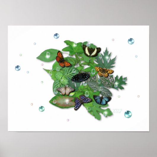 Schmetterlinge mit Blätter, Regentropfen, Perlen Poster (Voorkant)