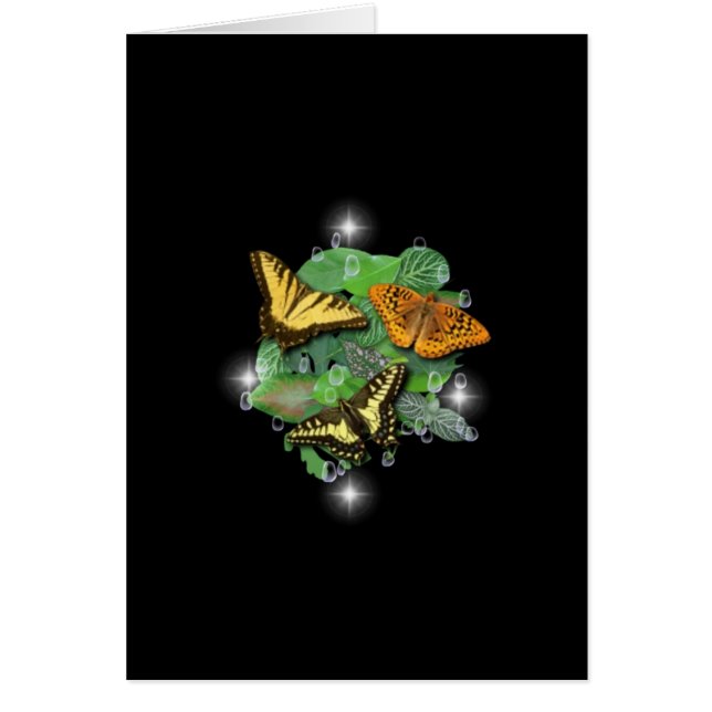 Schmetterlinge mit Blätter, Regentropfen, Sterne (Voorkant)