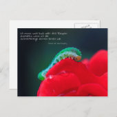 Schmetterlinge sekip briefkaart (Voorkant / Achterkant)