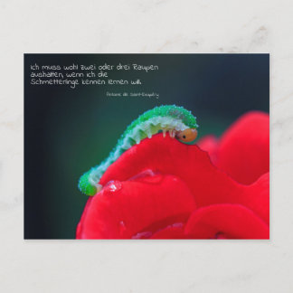 Schmetterlinge sekip briefkaart