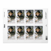 Schmucker: Goblins in de rug Etiket (Full Sheet)