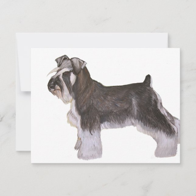 Schnauzer (Voorkant)