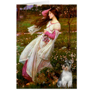 Schnauzer 11N - Windbloemen