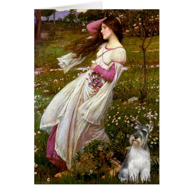 Schnauzer 11N - Windbloemen (Voorkant)