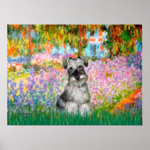 Schnauzer 1N - Tuin Poster