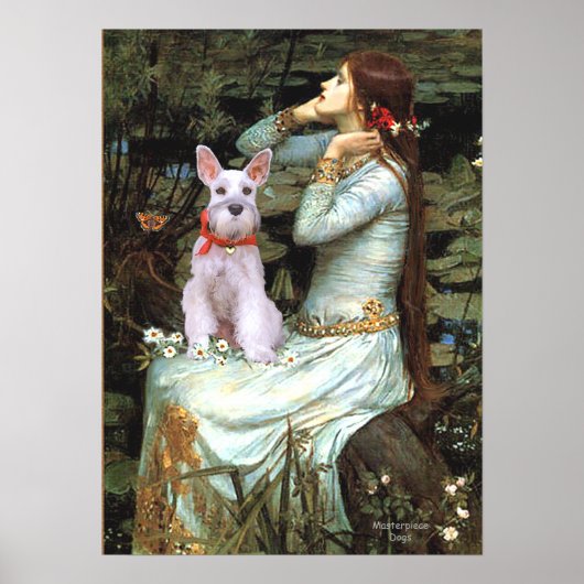 Schnauzer 9 - Ophelia Zittend Poster (Voorkant)