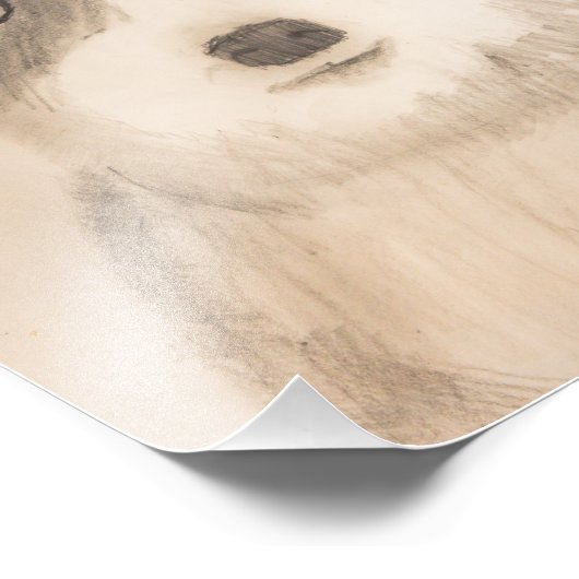 Schnauzer-afdrukken van 8 x 10 inch in de schaduw foto afdruk (Hoek)