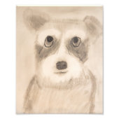 Schnauzer-afdrukken van 8 x 10 inch in de schaduw foto afdruk (Voorkant)