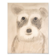 Schnauzer-afdrukken van 8 x 10 inch in de schaduw