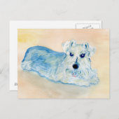 Schnauzer Andy Briefkaart (Voorkant / Achterkant)