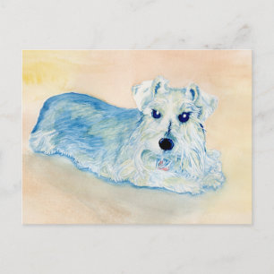 Schnauzer Andy Briefkaart