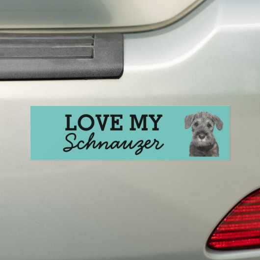 Schnauzer-bumper sticker (Op auto)
