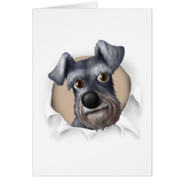 Schnauzer Busting Out (Voorkant)