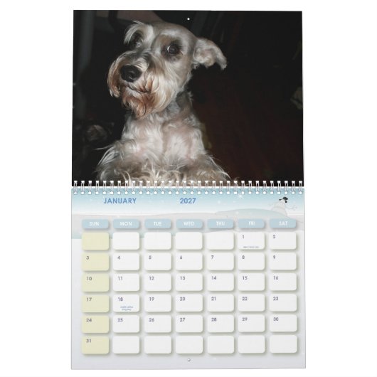 Schnauzer Calander Kalender (Jan 2027)