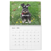 Schnauzer Calendar 2018 Kalender (Mar 2026)