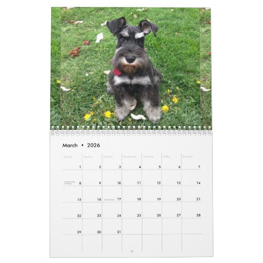 Schnauzer Calendar 2018 Kalender (Mar 2026)