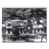 Schnauzer Calendar 2018 Kalender (Hoes)