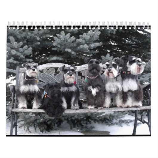 Schnauzer Calendar 2018 Kalender (Hoes)