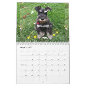 Schnauzer Calendar 2018 Kalender (Mar 2027)