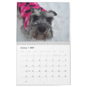 Schnauzer Calendar 2018 Kalender (Jan 2027)
