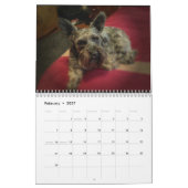 Schnauzer Calendar 2018 Kalender (Feb 2027)